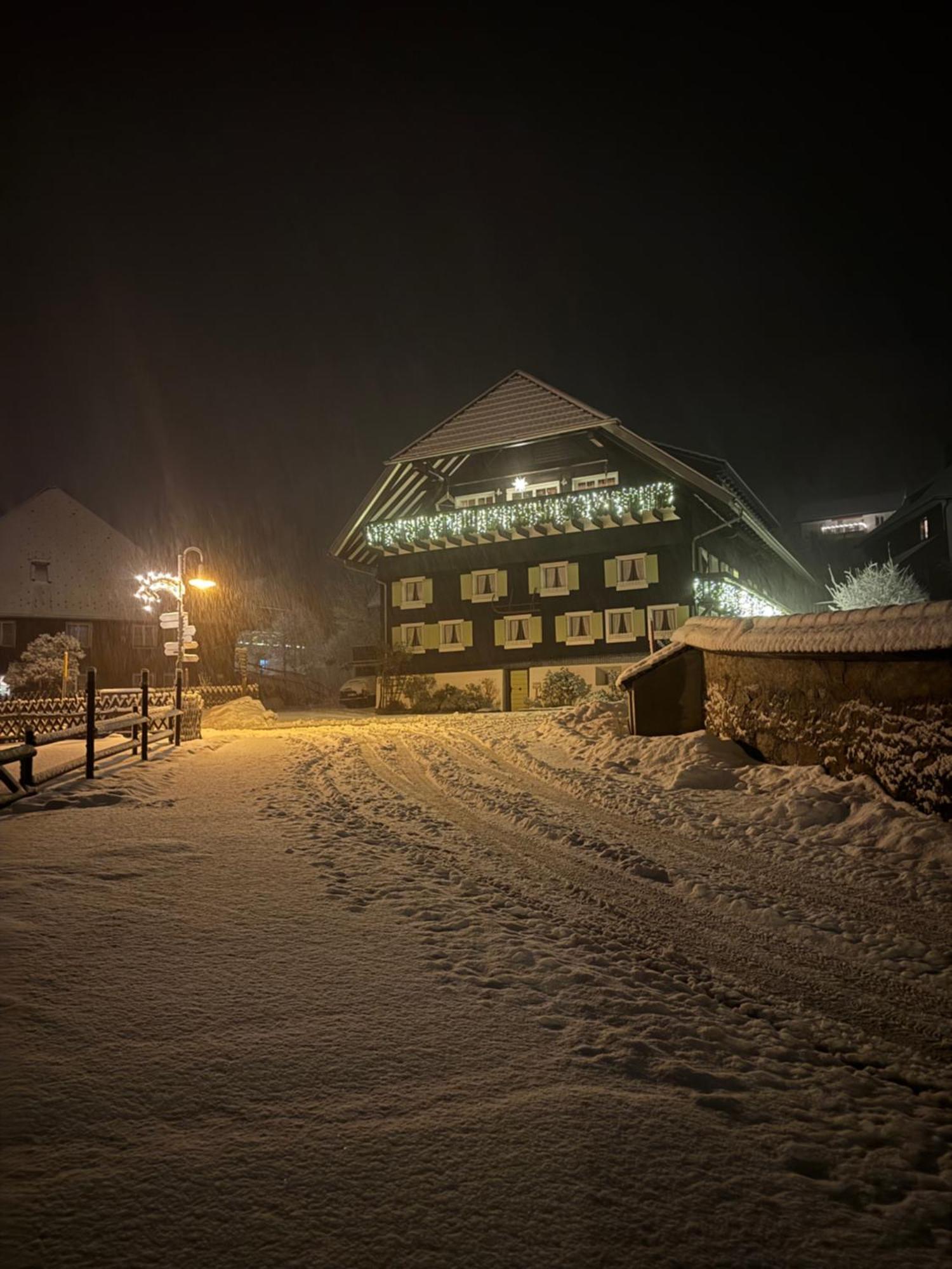 Gästehaus Erika Menzenschwand-Hinterdorf Exterior foto